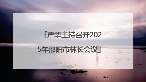 严华主持召开2025年邵阳市林长会议