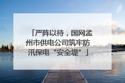 严阵以待，国网孟州市供电公司筑牢防汛保电“安全堤”
