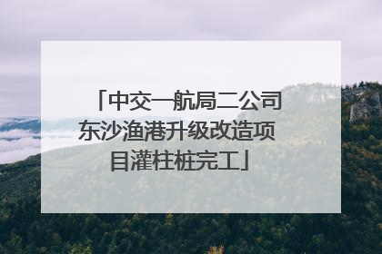 中交一航局二公司东沙渔港升级改造项目灌柱桩完工