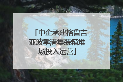 中企承建格鲁吉亚波季港集装箱堆场投入运营