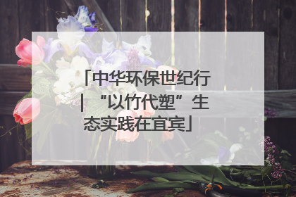 中华环保世纪行｜“以竹代塑”生态实践在宜宾