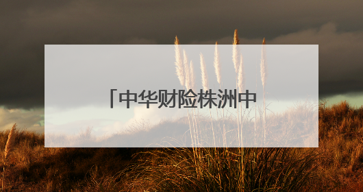 中华财险株洲中支“春风行动”：金融消保进乡村，护航春耕暖民心