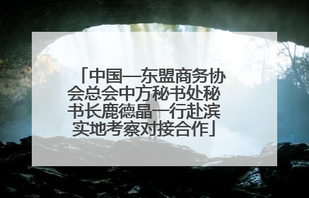 中国—东盟商务协会总会中方秘书处秘书长鹿德晶一行赴滨实地考察对接合作