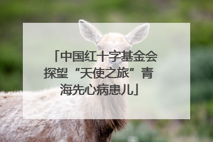 中国红十字基金会探望“天使之旅”青海先心病患儿