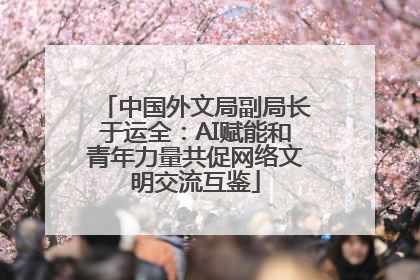 中国外文局副局长于运全：AI赋能和青年力量共促网络文明交流互鉴