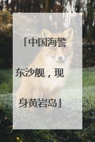 中国海警东沙舰，现身黄岩岛