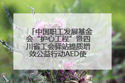 中国职工发展基金会“护心工程”暨四川省工会驿站提质增效公益行动AED使用培训在达州举行