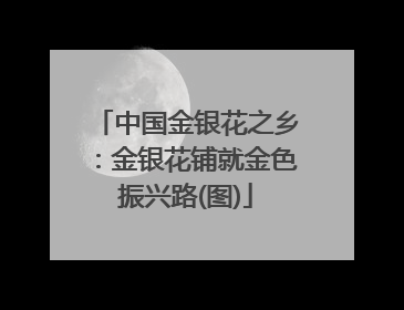 中国金银花之乡：金银花铺就金色振兴路(图)