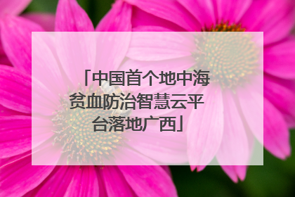 中国首个地中海贫血防治智慧云平台落地广西