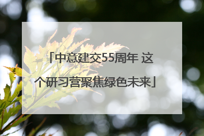 中意建交55周年 这个研习营聚焦绿色未来