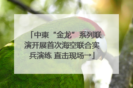 中柬“金龙”系列联演开展首次海空联合实兵演练 直击现场→