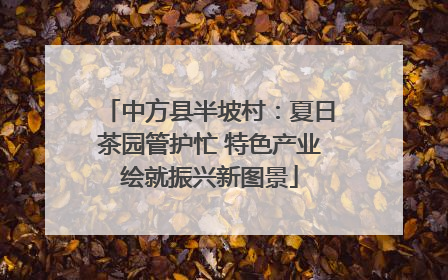 中方县半坡村：夏日茶园管护忙 特色产业绘就振兴新图景