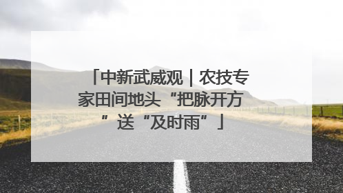 中新武威观｜农技专家田间地头“把脉开方”送“及时雨”