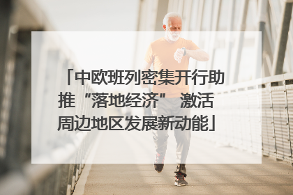 中欧班列密集开行助推“落地经济” 激活周边地区发展新动能