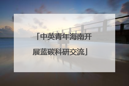 中英青年海南开展蓝碳科研交流