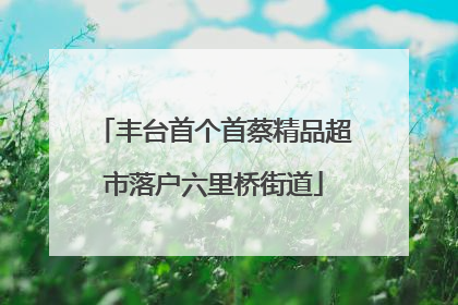 丰台首个首蔡精品超市落户六里桥街道