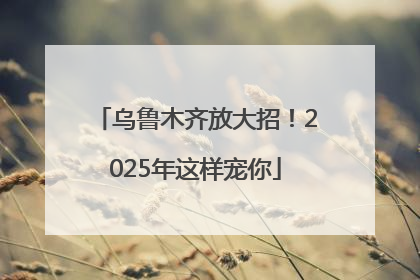 乌鲁木齐放大招！2025年这样宠你