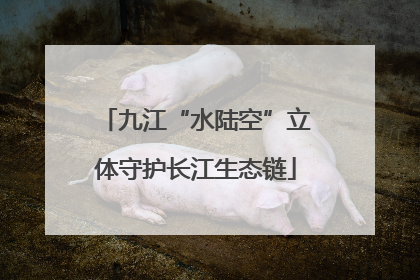 九江“水陆空”立体守护长江生态链