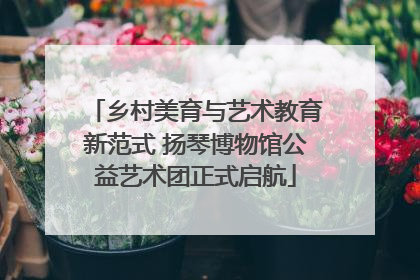 乡村美育与艺术教育新范式 扬琴博物馆公益艺术团正式启航