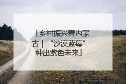 乡村振兴看内蒙古｜“沙漠蓝莓”种出紫色未来