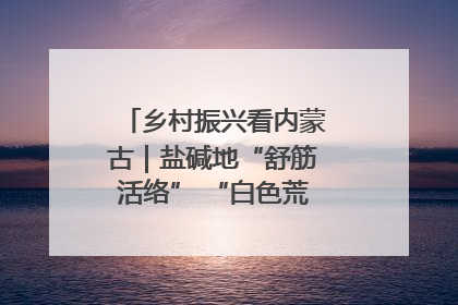 乡村振兴看内蒙古｜盐碱地“舒筋活络” “白色荒漠”长出吨粮田