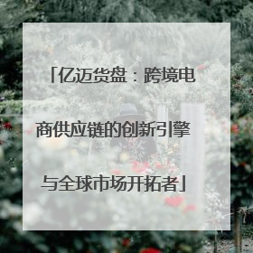 亿迈货盘：跨境电商供应链的创新引擎与全球市场开拓者