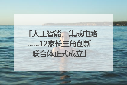 人工智能、集成电路……12家长三角创新联合体正式成立