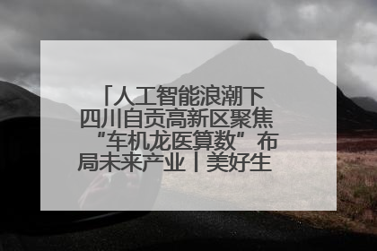 人工智能浪潮下 四川自贡高新区聚焦“车机龙医算数”布局未来产业丨美好生活有“盐”味