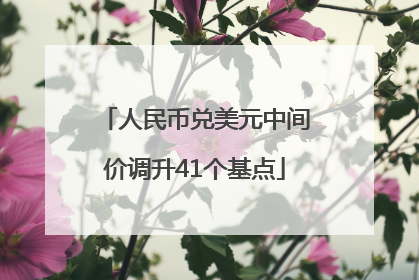 人民币兑美元中间价调升41个基点