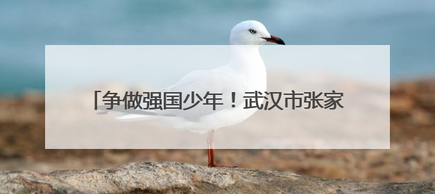 争做强国少年！武汉市张家铺学校举行新队员入队仪式