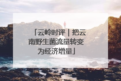 云岭时评｜把云南野生菌流量转变为经济增量