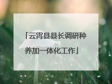 云霄县县长调研种养加一体化工作