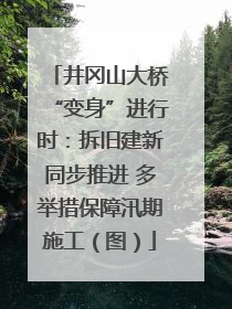 井冈山大桥“变身”进行时：拆旧建新同步推进 多举措保障汛期施工（图）