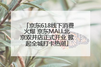 京东618线下消费火爆 京东MALL北京双井店正式开业 掀起全城打卡热潮