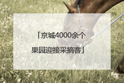 京城4000余个果园迎接采摘客