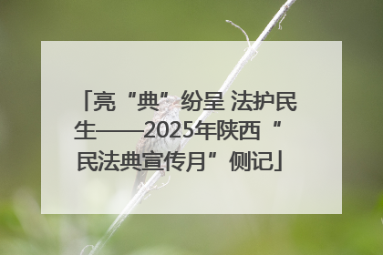 亮“典”纷呈 法护民生——2025年陕西“民法典宣传月”侧记