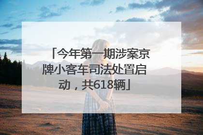 今年第一期涉案京牌小客车司法处置启动，共618辆