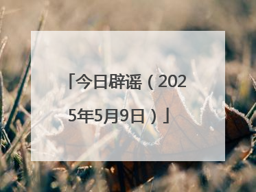 今日辟谣（2025年5月9日）