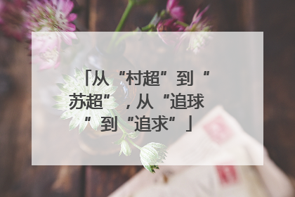 从“村超”到“苏超”，从“追球”到“追求”
