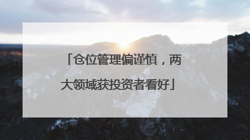 仓位管理偏谨慎，两大领域获投资者看好