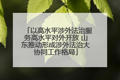 以高水平涉外法治服务高水平对外开放 山东推动形成涉外法治大协同工作格局