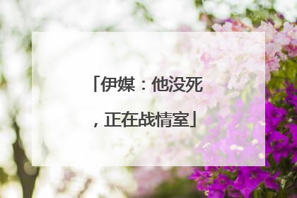 伊媒：他没死，正在战情室