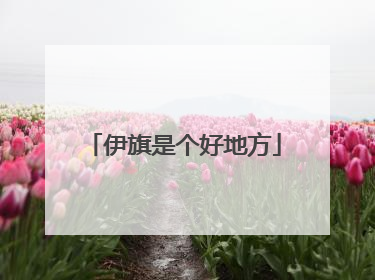 伊旗是个好地方