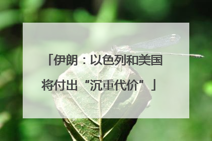 伊朗：以色列和美国将付出“沉重代价”