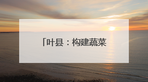 叶县：构建蔬菜产业体系 带动群众增收致富