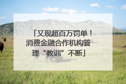 又现超百万罚单！消费金融合作机构管理“教训”不断