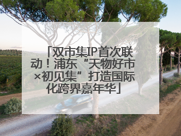 双市集IP首次联动！浦东“天物好市×初见集”打造国际化跨界嘉年华