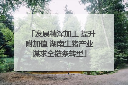 发展精深加工 提升附加值 湖南生猪产业谋求全链条转型