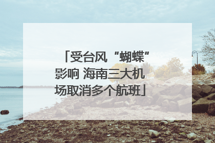 受台风“蝴蝶”影响 海南三大机场取消多个航班