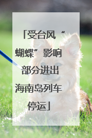 受台风“蝴蝶”影响 部分进出海南岛列车停运